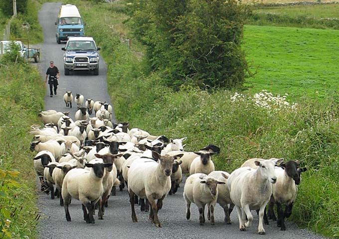 Irish Traffic Jam
